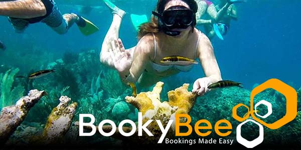 BookyBee Tours & Transfers Costa Rica